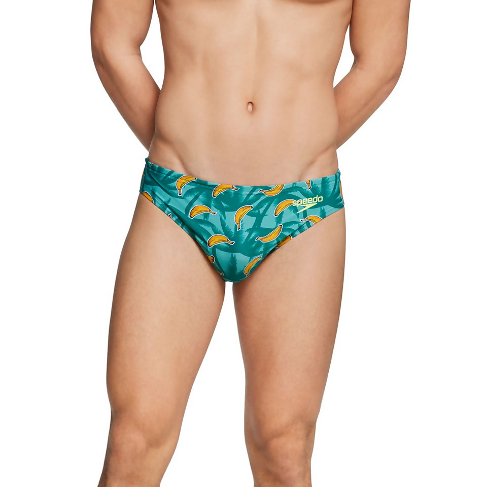 Printed Solar Brief 1"