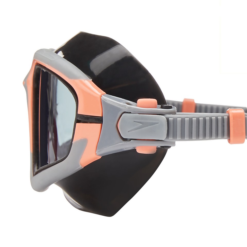 Proview Mask