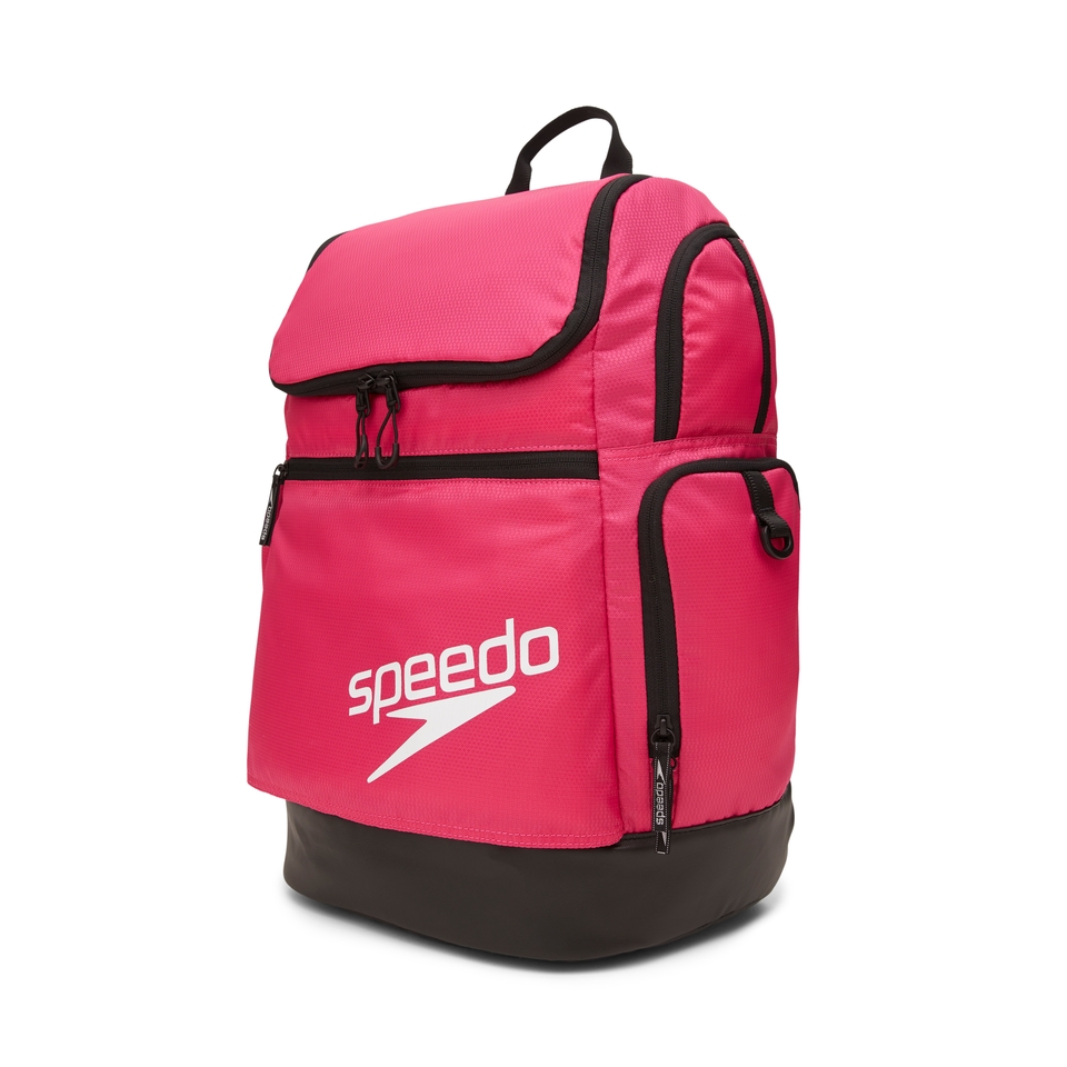 Teamster 2.0 Backpack Pink