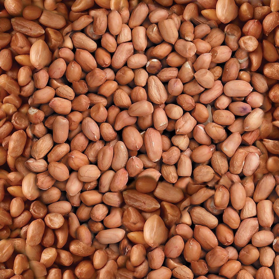 Berry Peanuts Wild Wild Bird Food 12.55kg Homebase