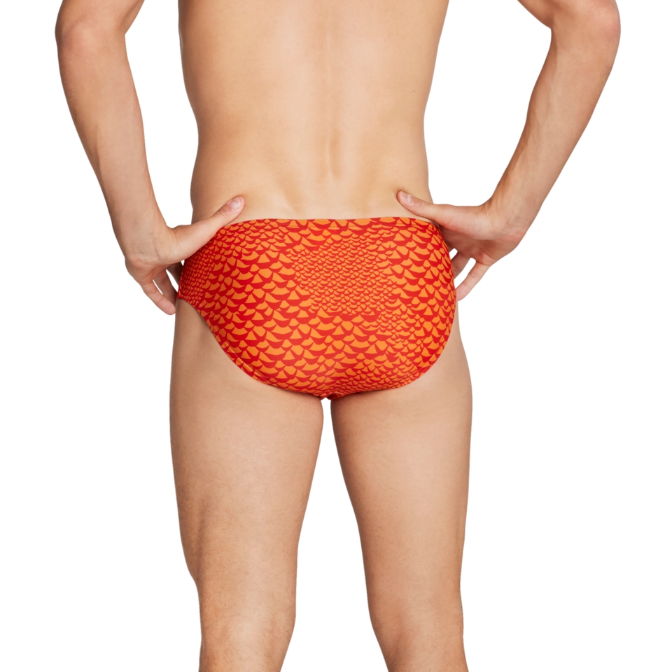 Printed Solar Brief 1"