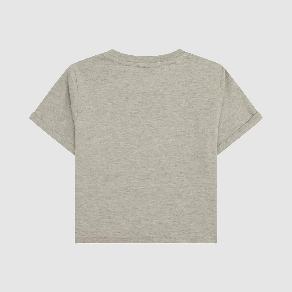 Nicky Cropped T-Shirt Grey Marl