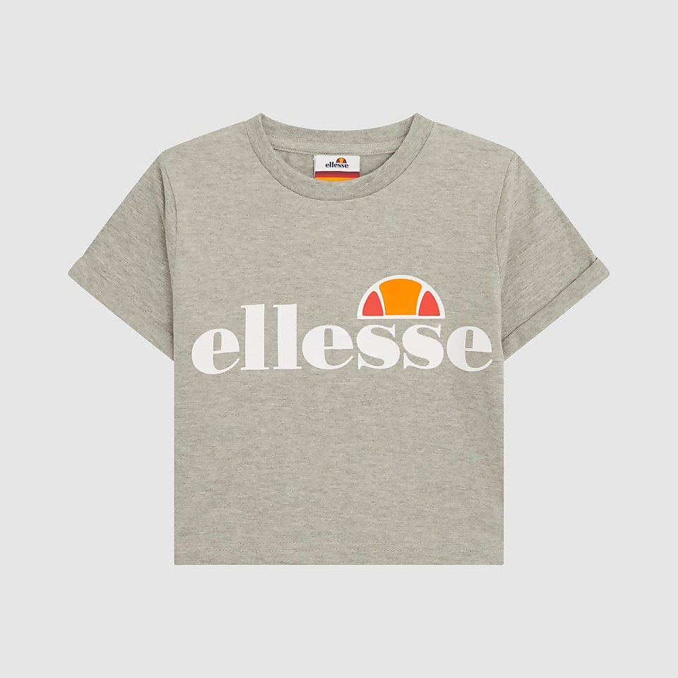 Nicky Cropped T-Shirt Grey Marl