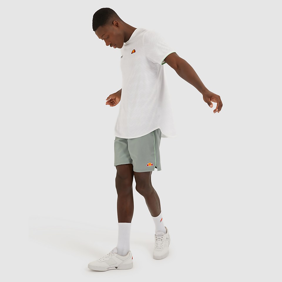 Fab Shorts Grau