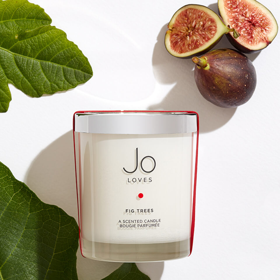 Jo Loves A Home Candle Fig Trees