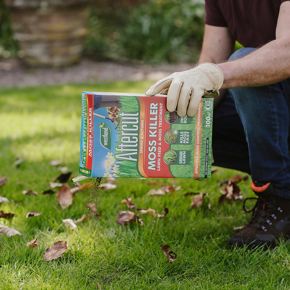 Aftercut Moss Killer 170m2 Box Homebase