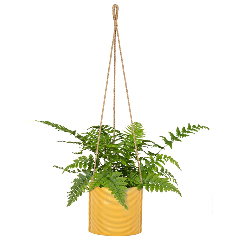 Hanging Yellow Plant Pot - 16cm