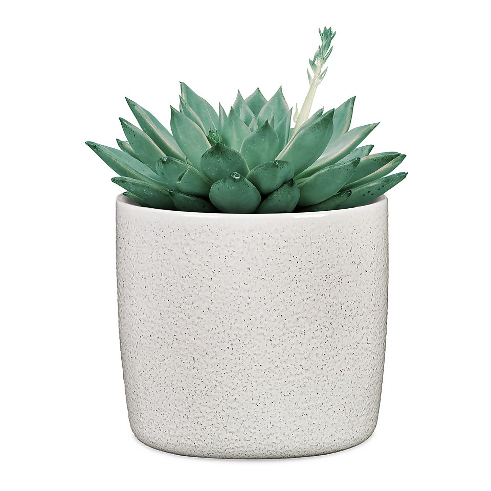 Perla White Plant Pot - 21cm