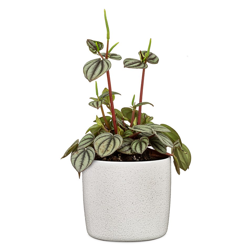 Perla White Plant Pot - 18cm