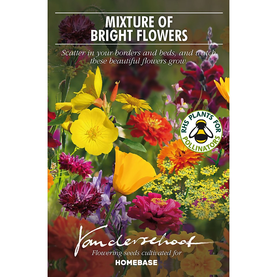 Seed Mixture of Bright flowers | Homebase