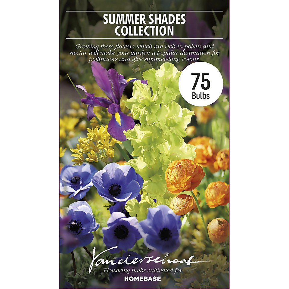 Summer Shades Flower Bulb Collection