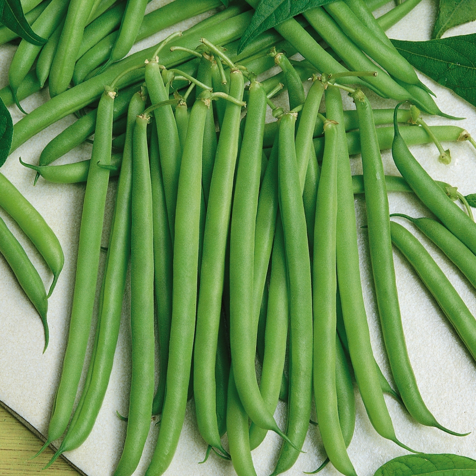 Vegetable Strip Dwarf French Bean Tendergreen
