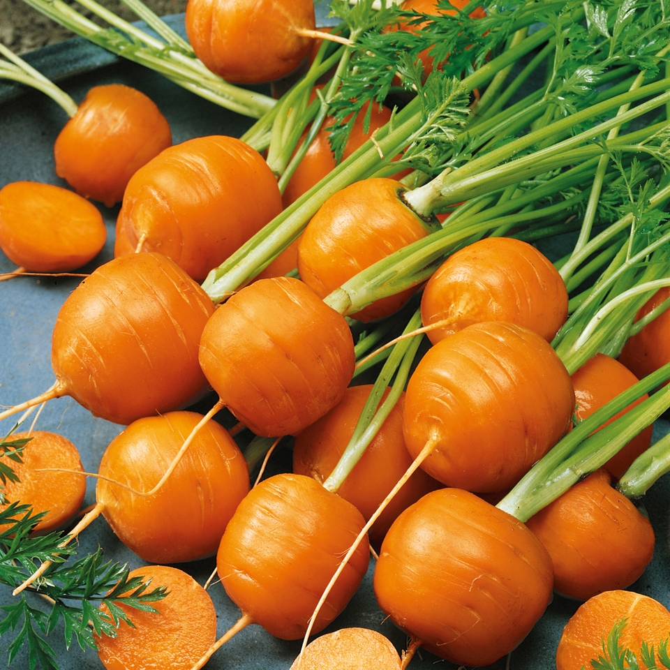 Vegetable Strip Carrot Atlas
