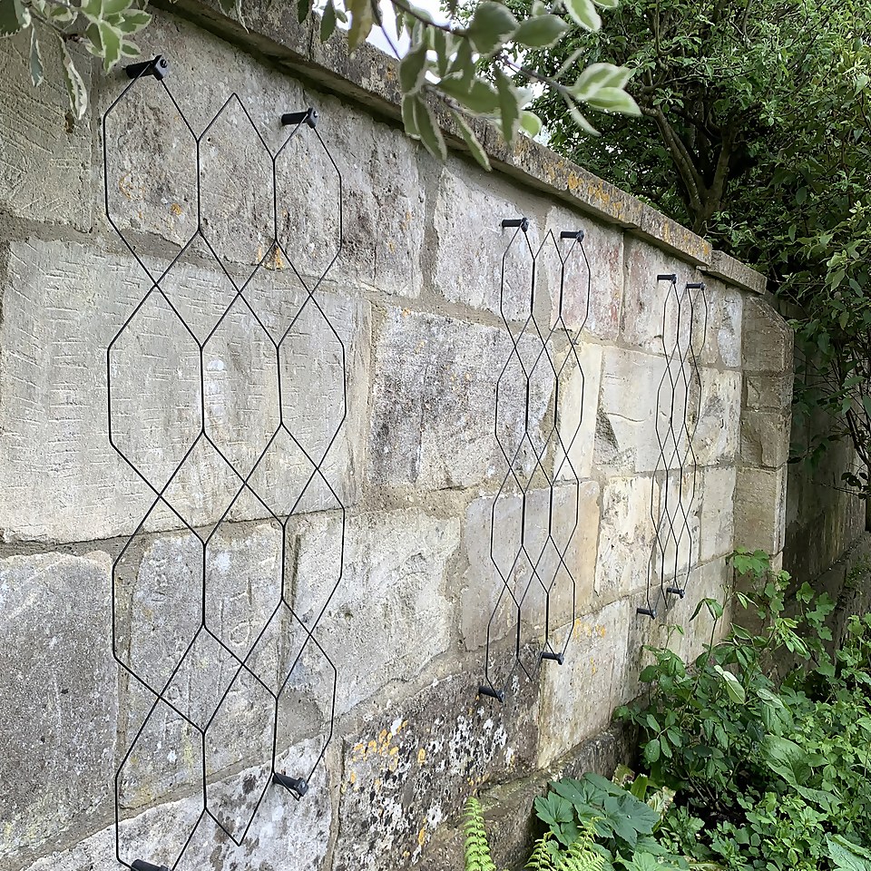 Agriframes Garden Wall Trellis (pack of 2) - W 44cm x H1.02m per panel - Black
