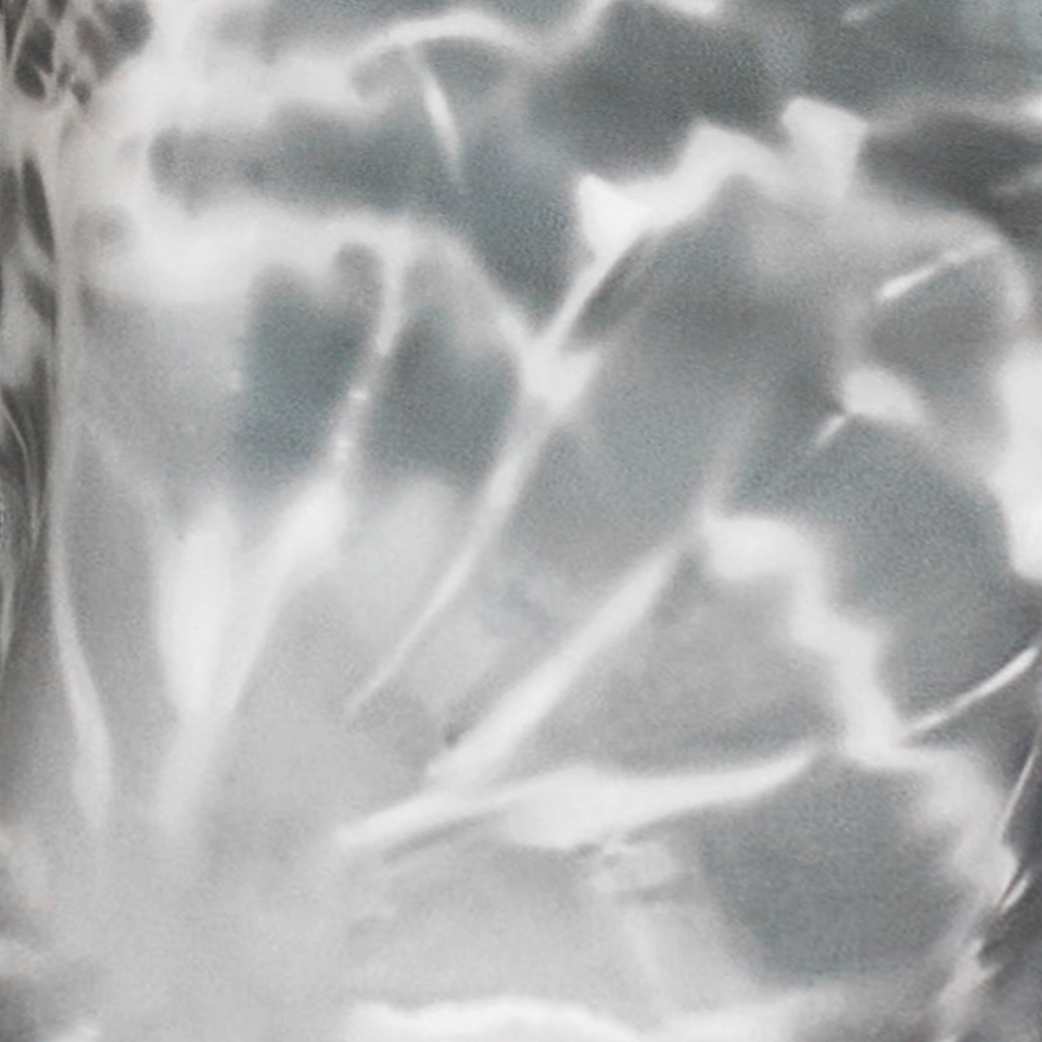 Printed Bondi Basin Boardshort 18"