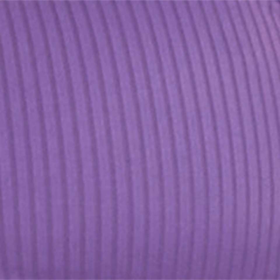 Women's Rib Logo Bikini Top Purple