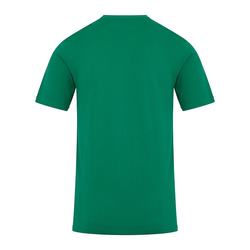 Men's Edale Mtn T Shirt Green