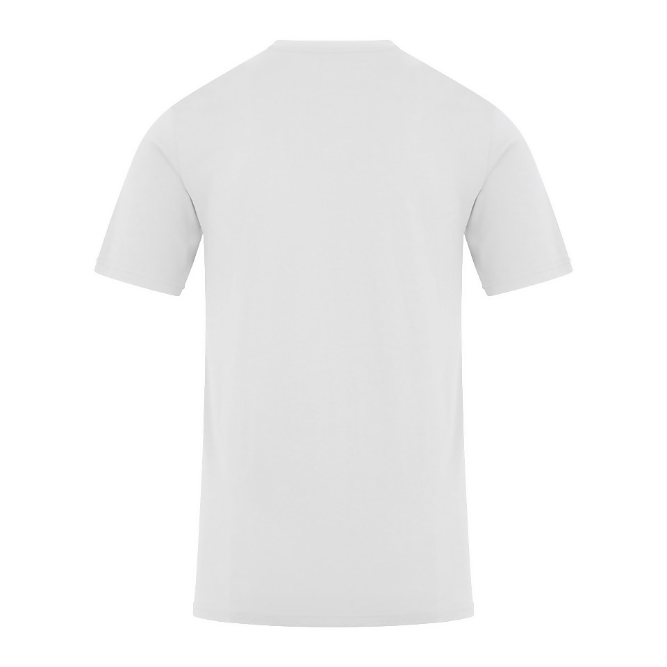 Men's Organic Colour Logo T-Shirt Grey