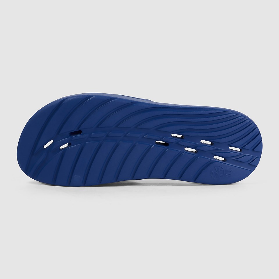 Men's Speedo Slide Blue