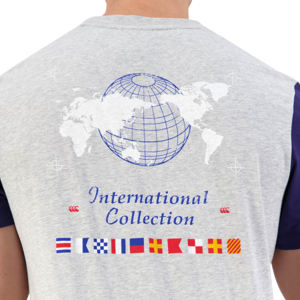 Mens International Short Sleeve Graphic T-Shirt in Grey