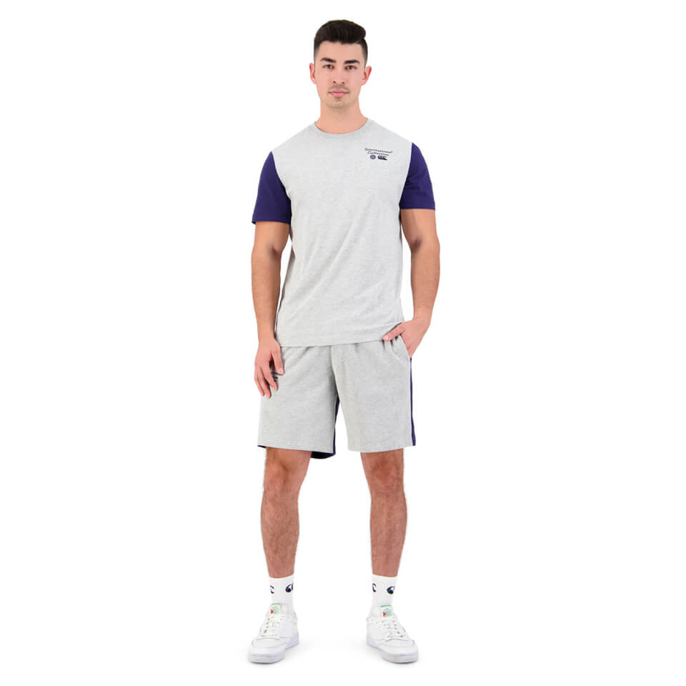 Mens International Short Sleeve Graphic T-Shirt in Grey