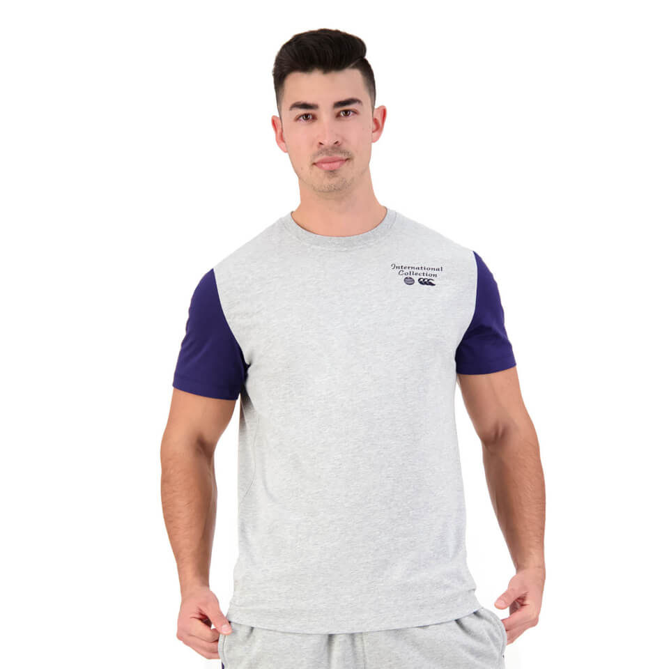 Mens International Short Sleeve Graphic T-Shirt in Grey