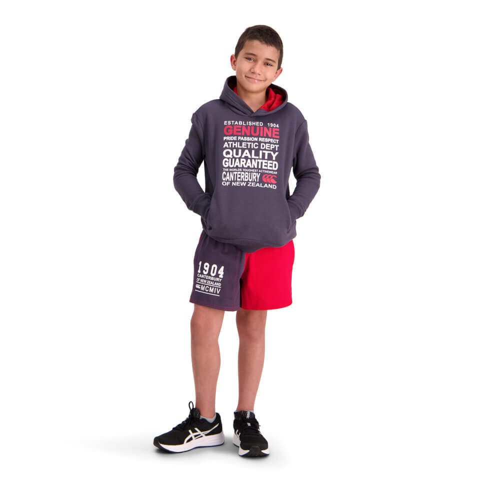 KIDS OF NZ CREED OVER HEAD HOODIE - GREY