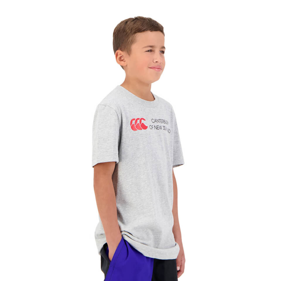 KIDS OF NZ SHORT SLEEVE T-SHIRT IN GREY