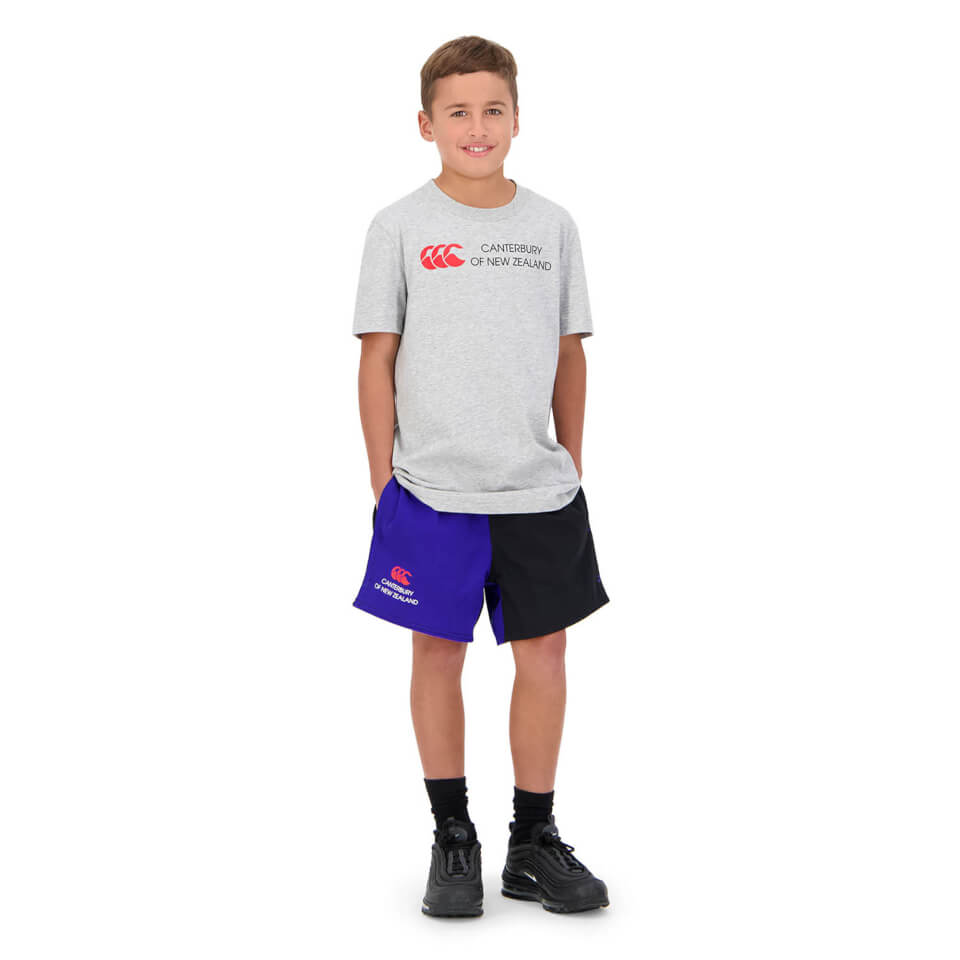 KIDS OF NZ SHORT SLEEVE T-SHIRT IN GREY