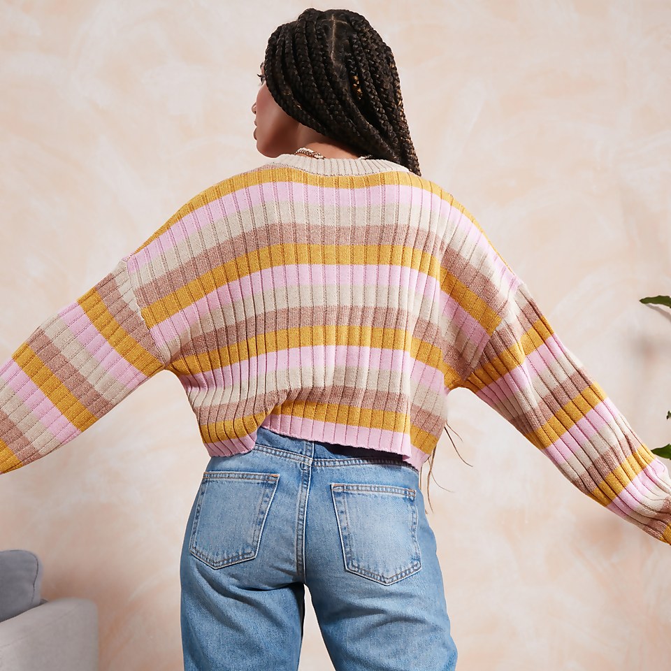Women's Stripe Cropped Knit Multi