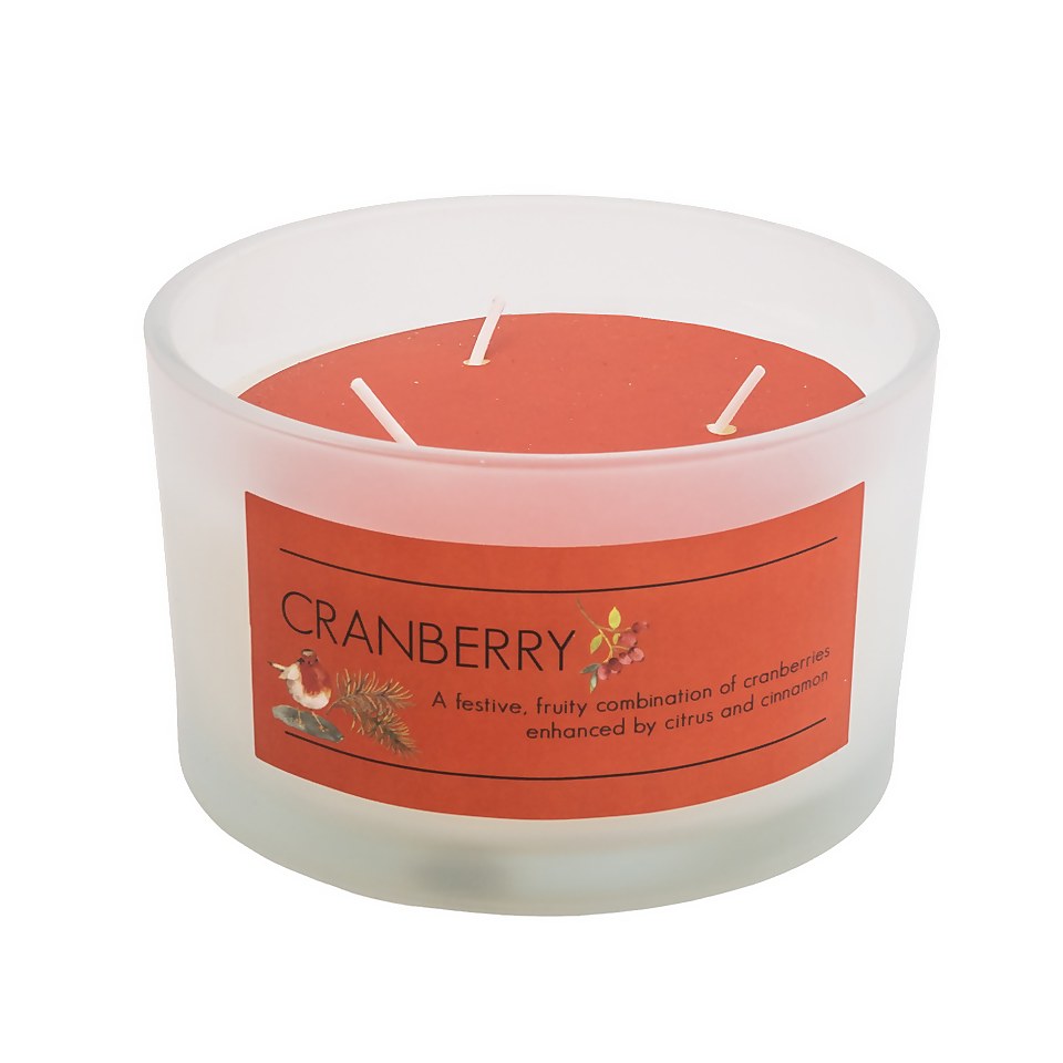 Cranberry Multi Wick Scented Candle Homebase