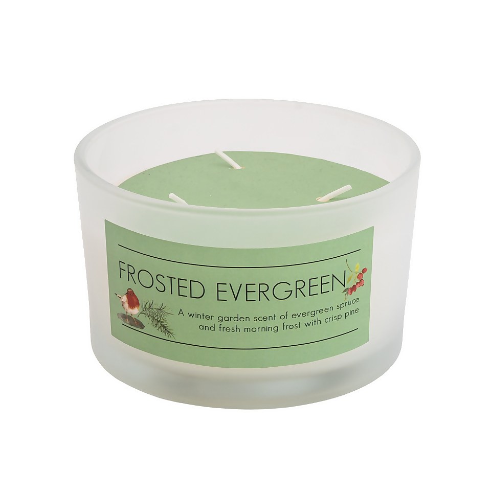 Frosted Evergreen Multi Wick Scented Candle Homebase