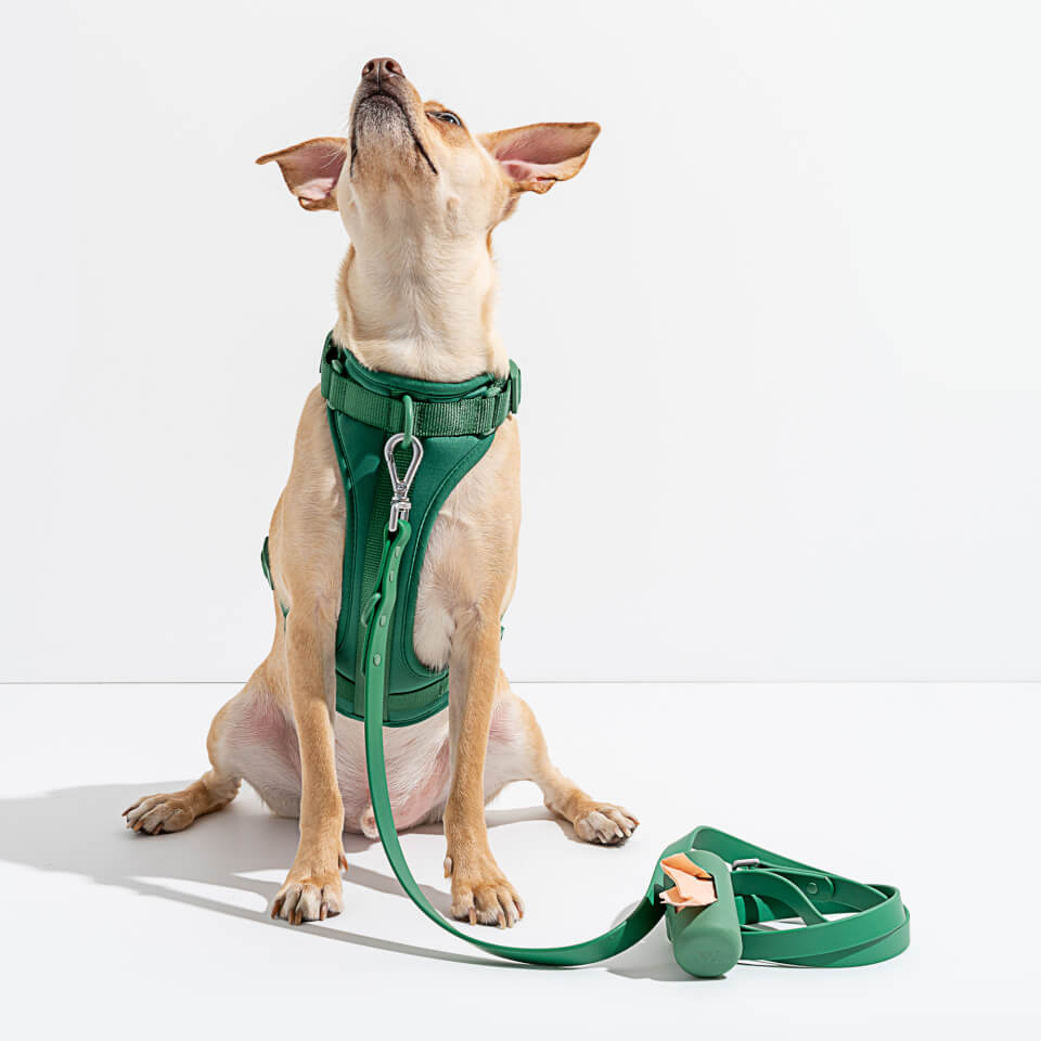 Wild one dog harness reviews cheap