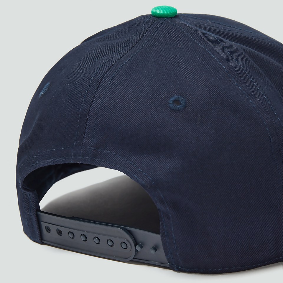 ADULT UNISEX IRELAND SNAPBACK CAP BLUE