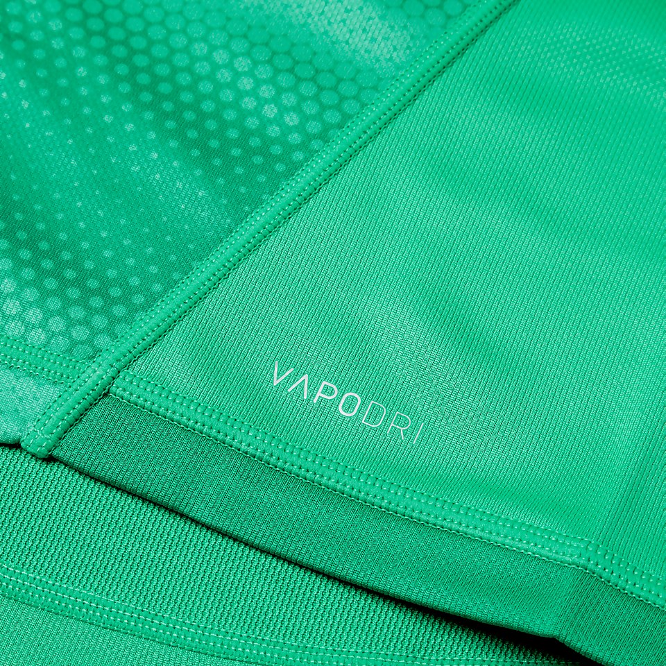 JUNIOR UNISEX IRELAND VAPODRI HOME PRO JERSEY GREEN
