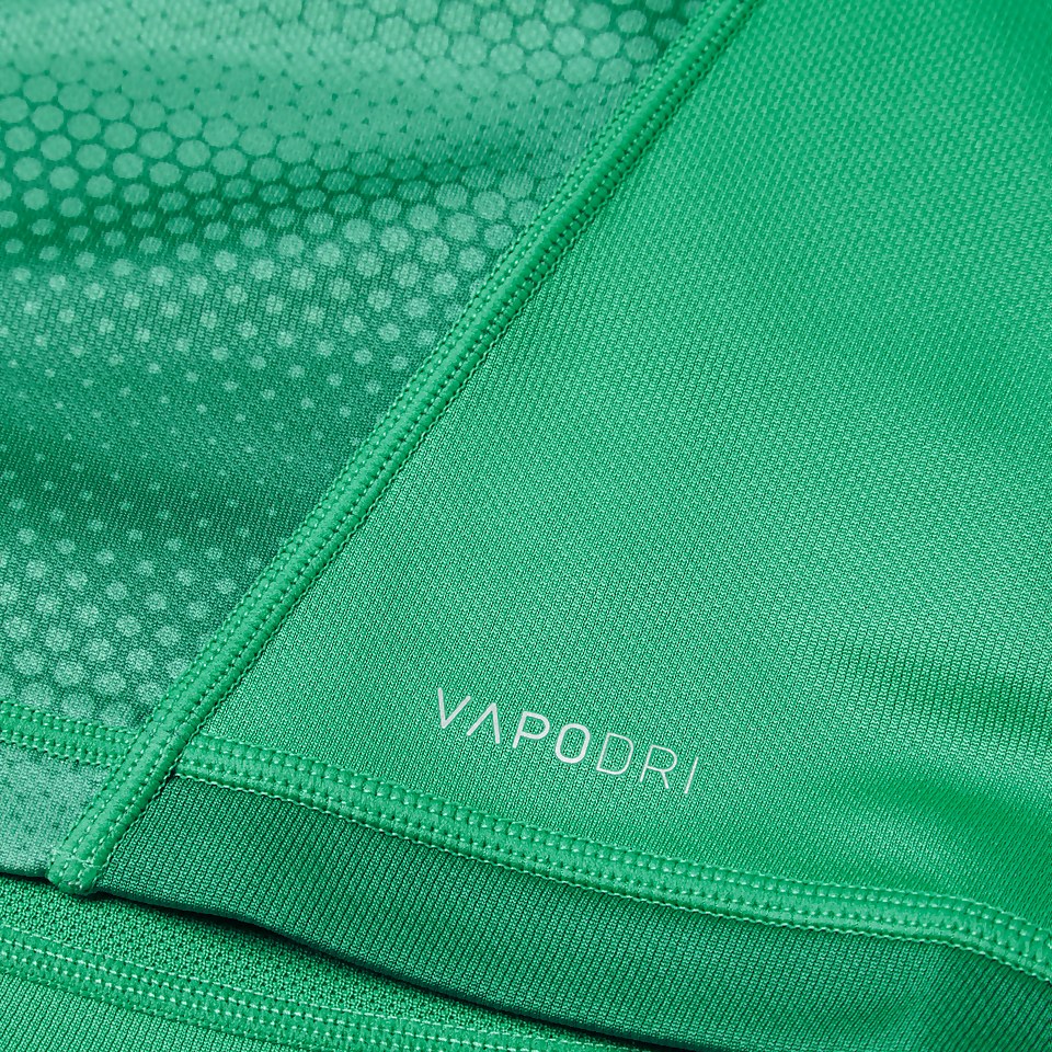 CANTERBURY IRE VAPODRI HOM PRO JSY JNR JU GREEN