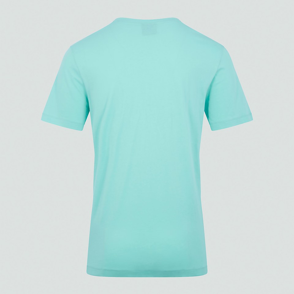 MENS IRELAND TEAM COTTON T-SHIRT GREEN