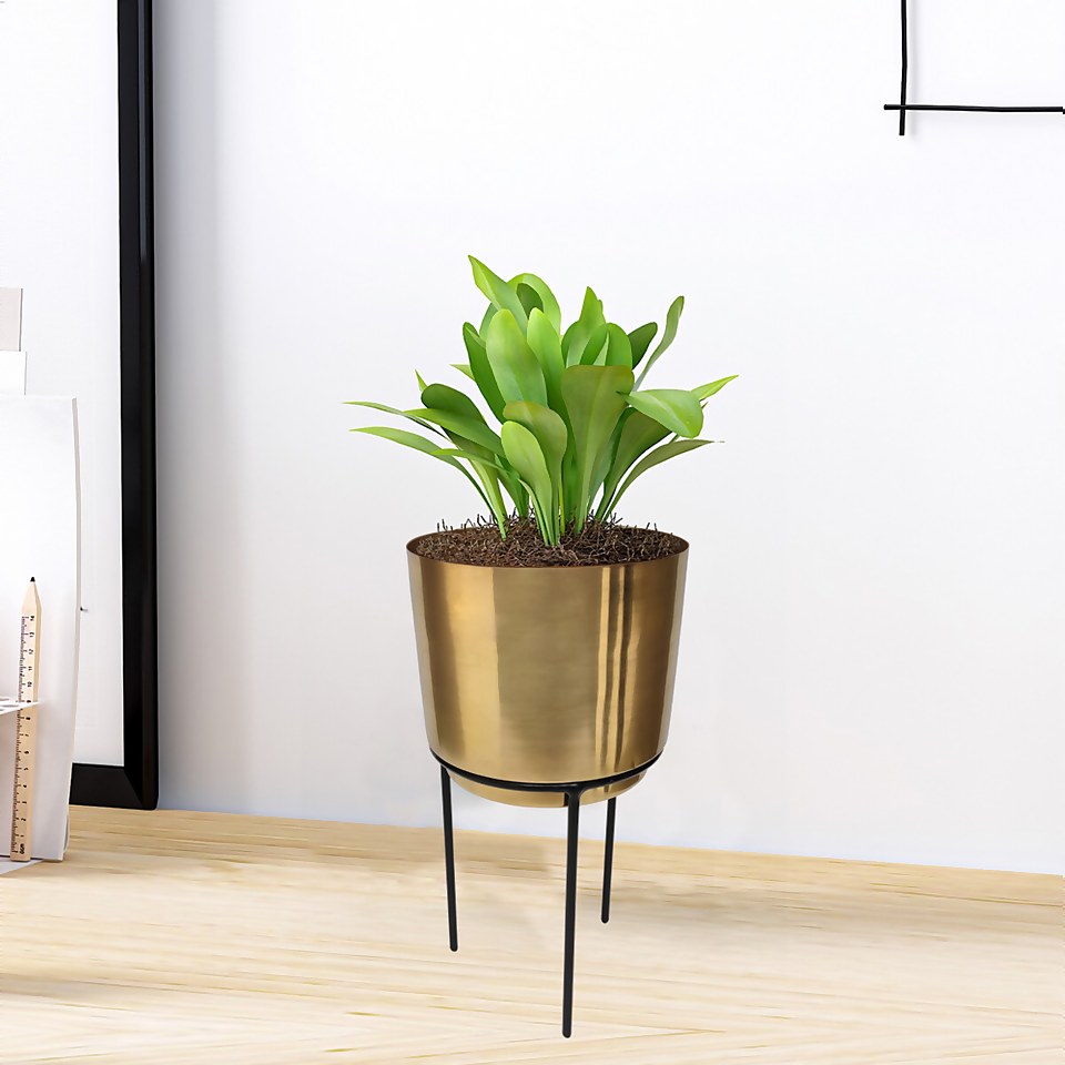 Brass Indoor Plant Pot with Straight Stand - 14cm