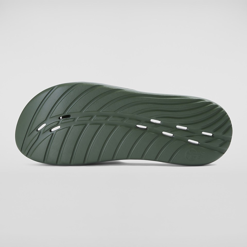 Men's Speedo Slide Green