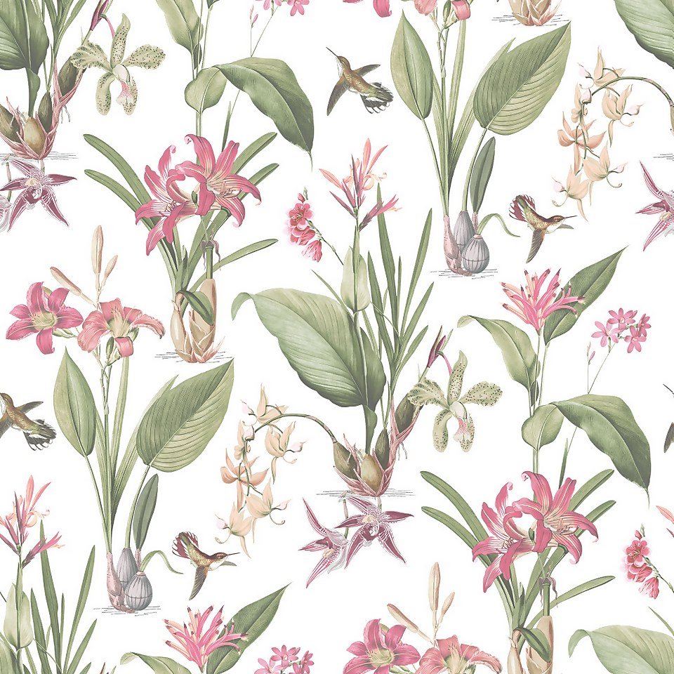 Galerie Botanical Illustration Pink Large Wallpaper Sample
