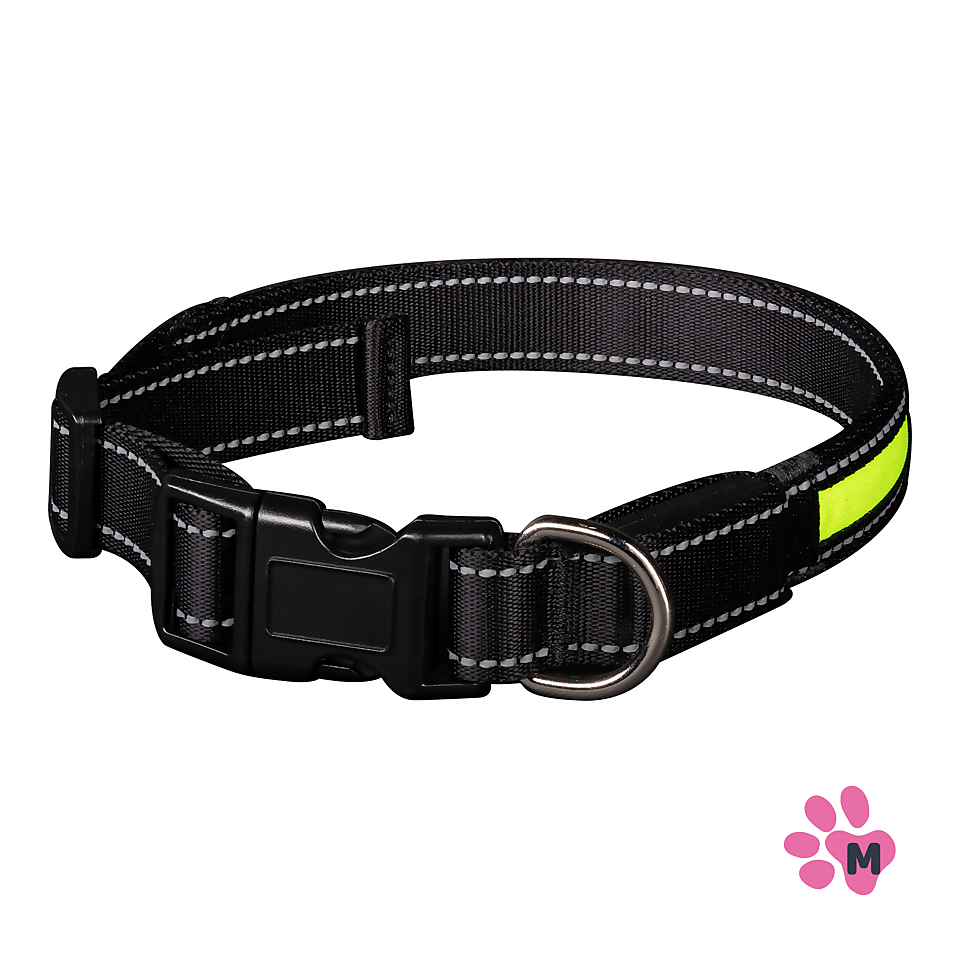 Waggs & Purrs Flashing Rechargeable Dog Collar MEDIUM