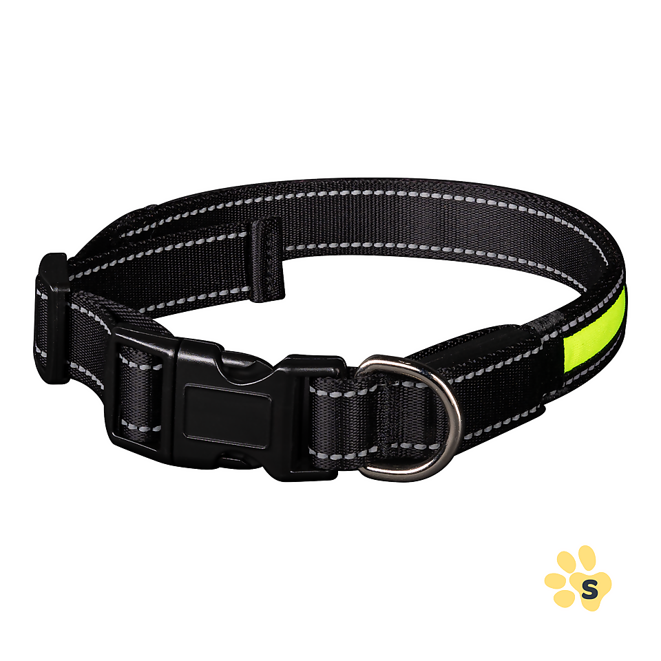 Waggs & Purrs Flashing Rechargeable Dog Collar SMALL
