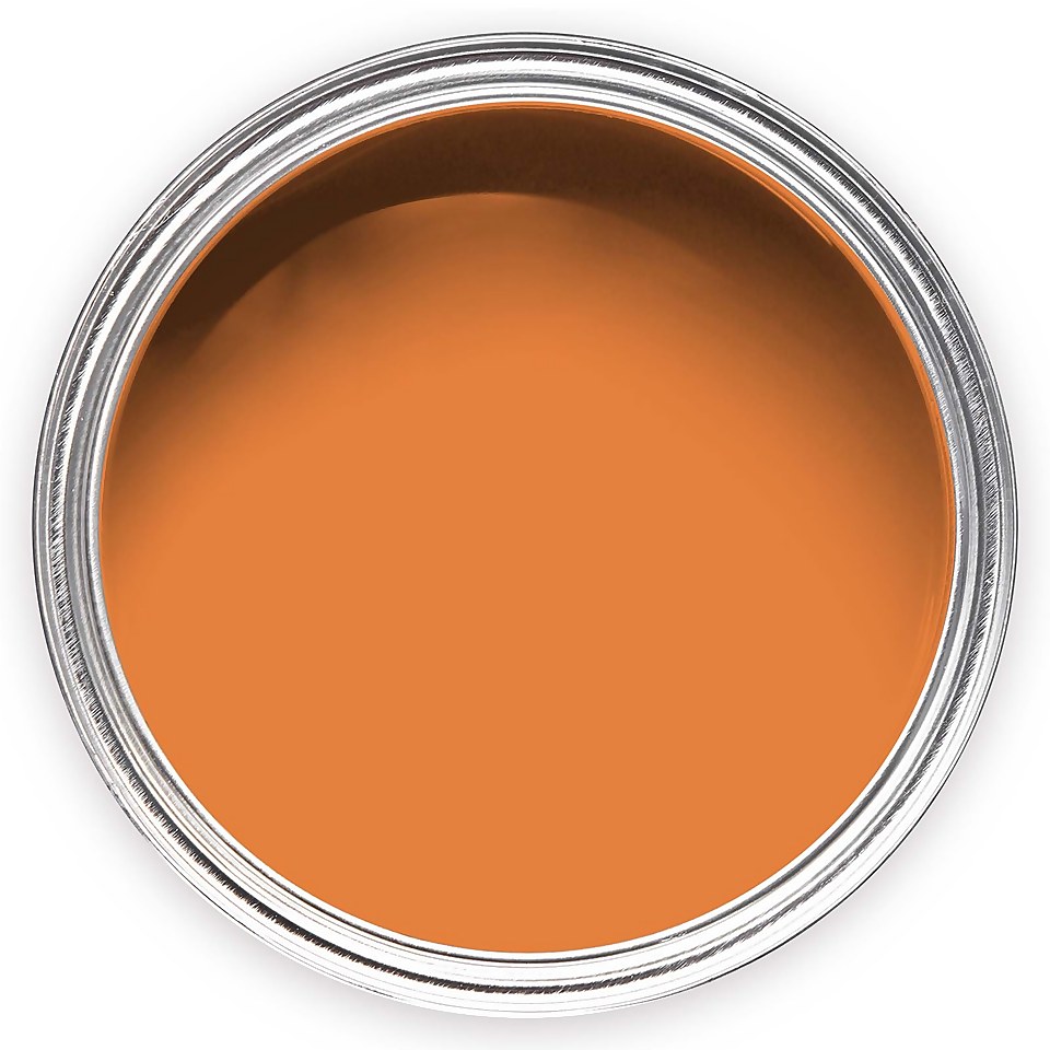Annie Sloan Barcelona Orange Chalk Paint - 120ml