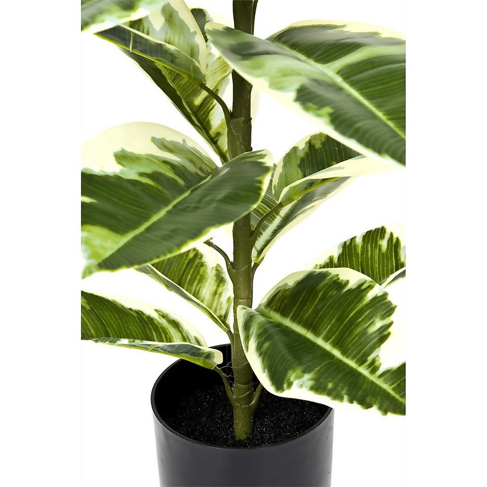 Artificial Rubber Plant in Pot 98cm Homebase