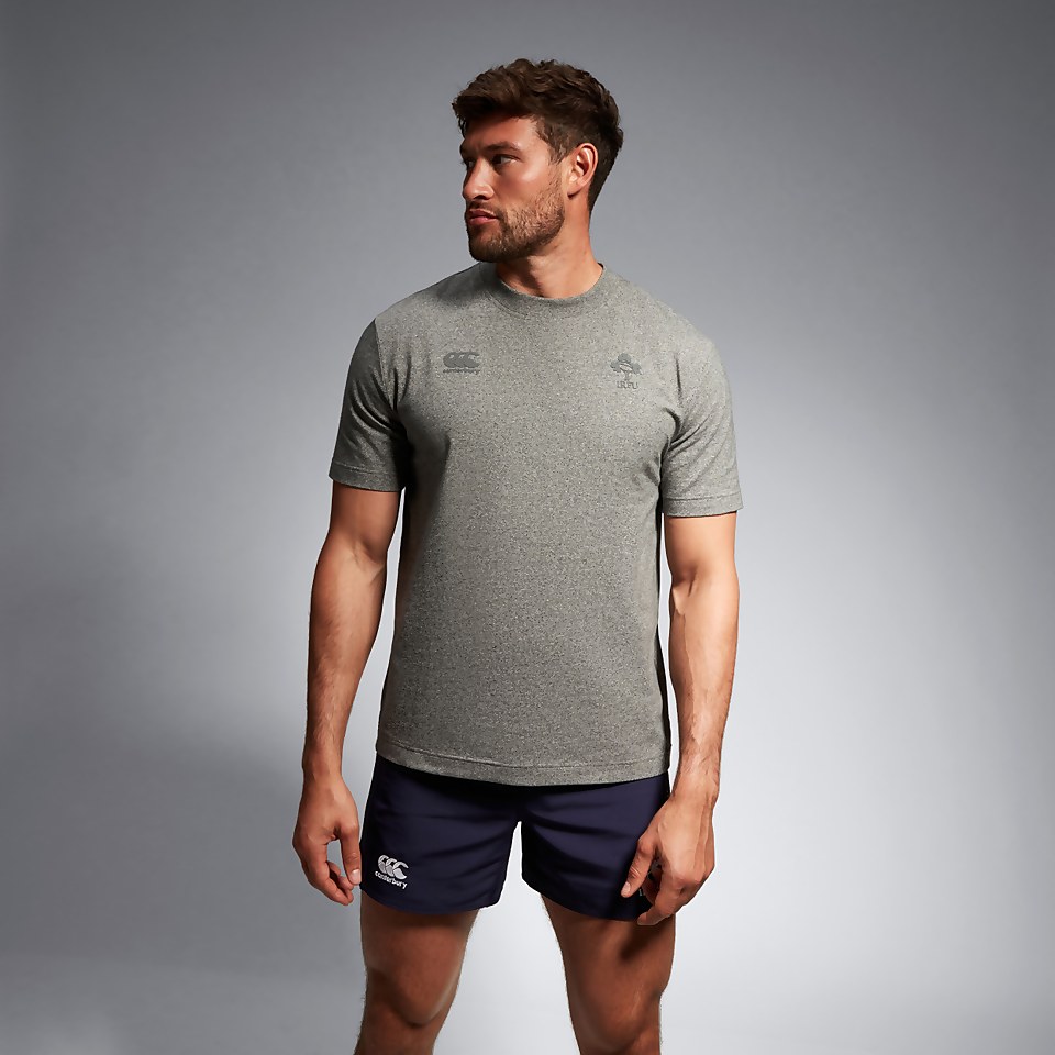ADULT UNISEX IRELAND OVERSIZED COTTON HEROES TEE GREY