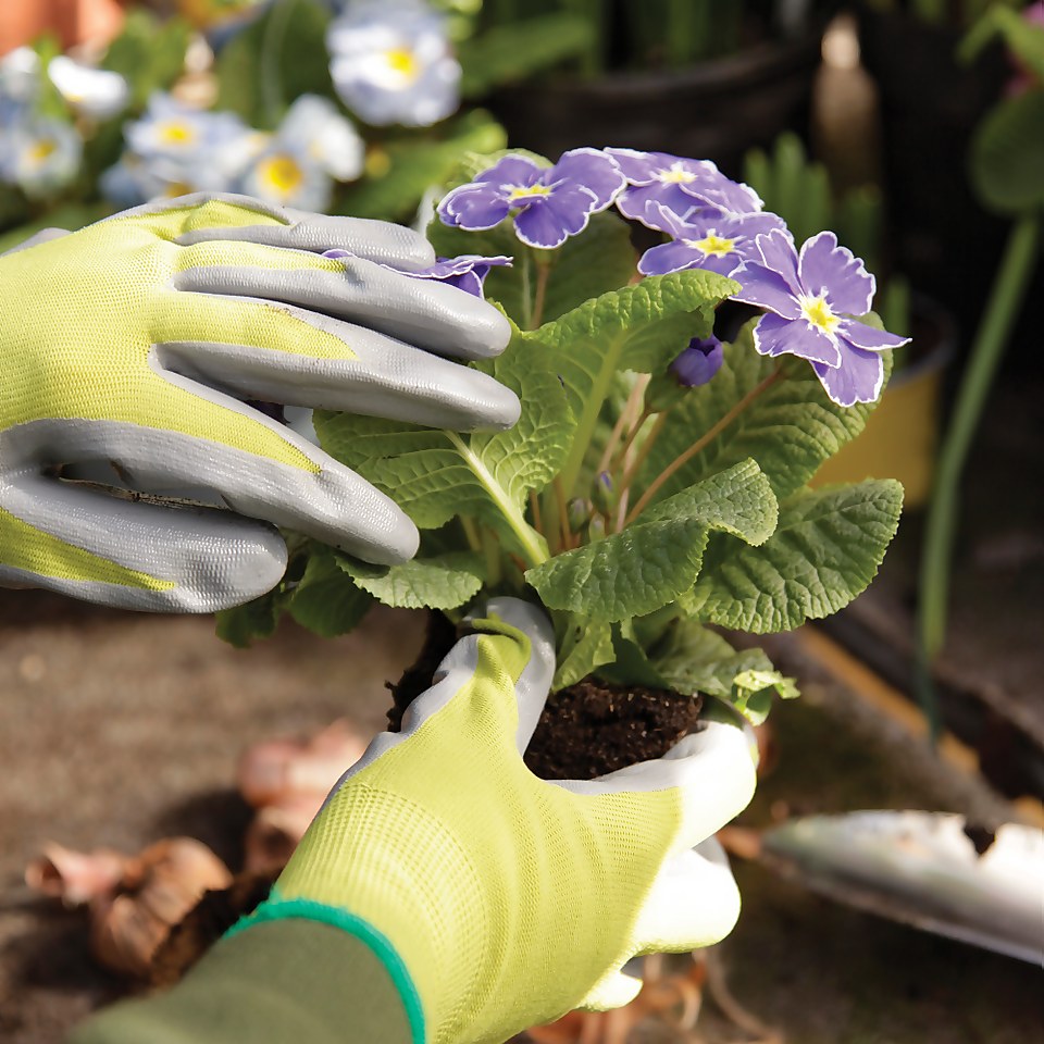 Kew Gardens Seeding and Weeding Gardening Gloves - Large