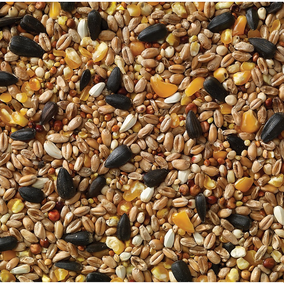 Berry Wild Bird Food Traditional Mix 12.55kg Homebase