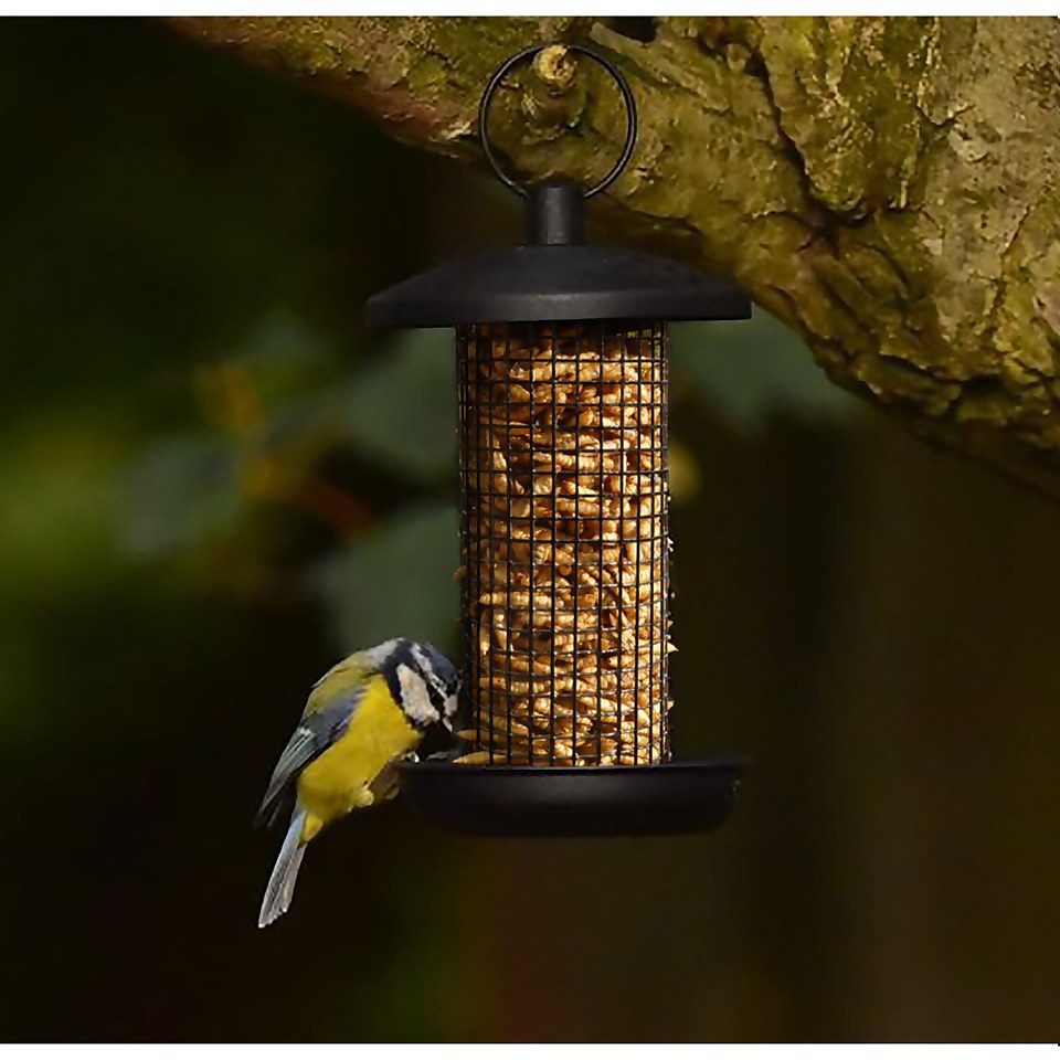 Berry Wild Bird Food Calciworms 1kg Homebase