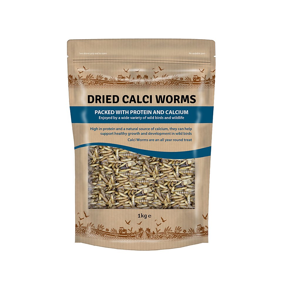 Berry Wild Bird Food Calciworms 1kg Homebase