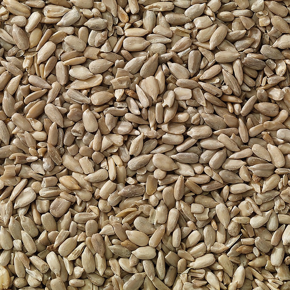 Berry Wild Bird Food Sunflower Hearts 12.55kg Homebase